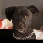 Ersteller:in Cindy Profilbild