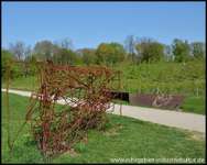 Hundeauslaufgebiet-Flottmannpark-Bild