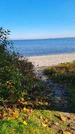 Hundeauslaufgebiet-Hundestrand Eckernförde-Bild