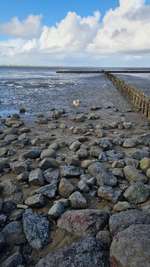 Hundeauslaufgebiet-Husum-Bild