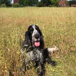 Ersteller:in Konni Profilbild