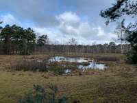 Hundeauslaufgebiet-Teverener Heide-Bild