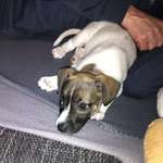 Ersteller:in Marion Profilbild