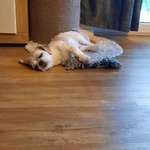 Ersteller:in Christine Profilbild