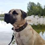 Ersteller:in Grit Profilbild