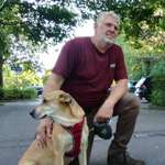 Ersteller:in Stefan Profilbild