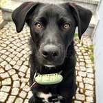 Ersteller:in Melissa & Nico Profilbild