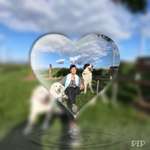 Ersteller:in Elke Profilbild