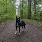 Ersteller:in Larissa Profilbild