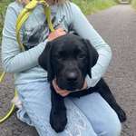 Ersteller:in Melanie Profilbild