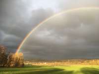Hundeauslaufgebiet-Rümminger Moss-Bild