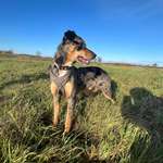 Ersteller:in Madlene Profilbild