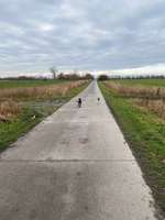 Hundeauslaufgebiet-Am Leeghamm-Bild