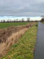 Hundeauslaufgebiet-Am Leeghamm-Bild