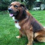 Benötigt jemand Hilfe ?-Beitrag-Bild