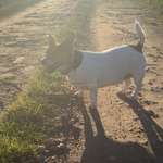 Ersteller:in Franziska Profilbild