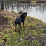 Ersteller:in christoph Profilbild