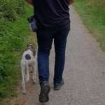 Ersteller:in Peter Profilbild