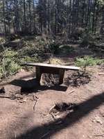 Hundeauslaufgebiet-Hundeplatz Tangstedter Forst-Bild