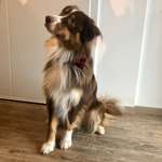 Ersteller:in Marie Profilbild