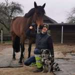 Ersteller:in Marco Profilbild