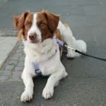 Ersteller:in Jasmin Profilbild