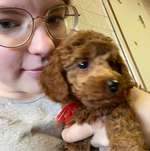 Ersteller:in Jenny Profilbild