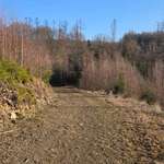 Hundeauslaufgebiet-Mudersbach Wanderparkplatz-Bild