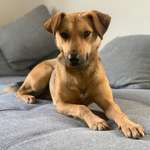 Ersteller:in Janina Profilbild