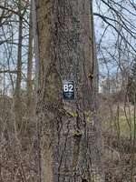 Hundeauslaufgebiet-Rastplatz-Bild