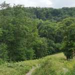 Ersteller:in Elli Profilbild