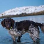 Ersteller:in Gi Profilbild