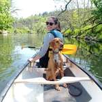 Ersteller:in Julia Profilbild