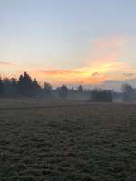 Hundeauslaufgebiet-Gibber Wiese-Bild