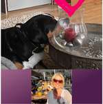 Ersteller:in Michaela Profilbild