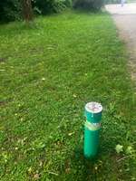 Hundeauslaufgebiet-Hundewiese an der Drygalskiallee-Bild