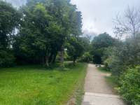 Hundeauslaufgebiet-Hundewiese an der Drygalskiallee-Bild