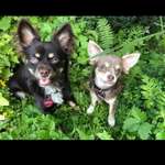 Ersteller:in Bianca Profilbild