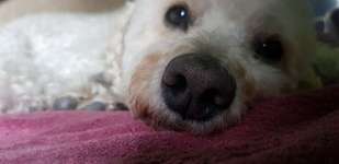 Aufpassen-Beitrag-Bild