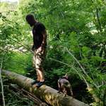 Ersteller:in Lars Profilbild