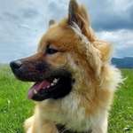 Ersteller:in Britta & Guno Profilbild