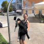 Ersteller:in Cata Profilbild