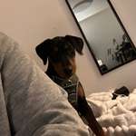 Ersteller:in Kevin Profilbild