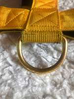 Hunde Geschirre-Beitrag-Bild