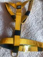 Hunde Geschirre-Beitrag-Bild