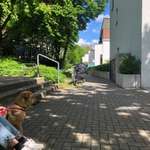 Ersteller:in Susanna Profilbild