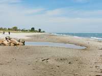 Hundeauslaufgebiet-Hundestrand Pottloch-Bild