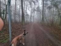 Schleppleine-Beitrag-Bild