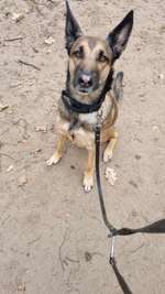 Schleppleine-Beitrag-Bild