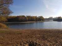 Hundeauslaufgebiet-Kaulsdorfer See-Bild